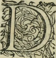 An illustration from Constitvtiones insignis, et cillegiatae ecclesiae Sancti Lavrentii Florent (1617)