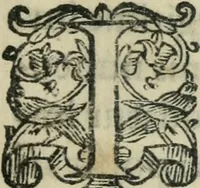 An illustration from Constitvtiones insignis, et cillegiatae ecclesiae Sancti Lavrentii Florent (1617)