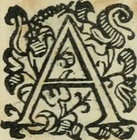 Picture 50 of 51 from Constitvtiones insignis, et cillegiatae ecclesiae Sancti Lavrentii Florent (1617), leaf 202