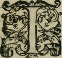 An illustration from Constitvtiones insignis, et cillegiatae ecclesiae Sancti Lavrentii Florent (1617)