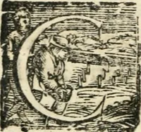 An illustration from Constitvtiones insignis, et cillegiatae ecclesiae Sancti Lavrentii Florent (1617)