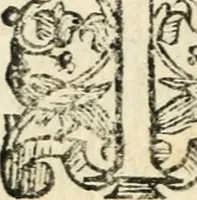 An illustration from Constitvtiones insignis, et cillegiatae ecclesiae Sancti Lavrentii Florent (1617)