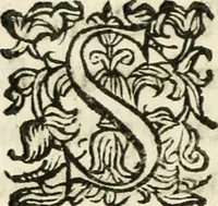 An illustration from Constitvtiones insignis, et cillegiatae ecclesiae Sancti Lavrentii Florent (1617)