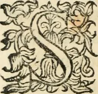 Picture 20 of 51 from Constitvtiones insignis, et cillegiatae ecclesiae Sancti Lavrentii Florent (1617), leaf 87
