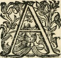 An illustration from Constitvtiones insignis, et cillegiatae ecclesiae Sancti Lavrentii Florent (1617)