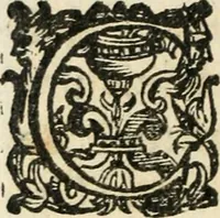 An illustration from Constitvtiones insignis, et cillegiatae ecclesiae Sancti Lavrentii Florent (1617)