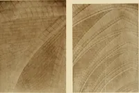 An illustration from The construction of Lombard and Gothic vaults (1911)