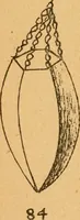 Picture 48 of 59 from Construction work in cardboard and paper for grades I to IV, without the use of tools; with a course in woodwork for the fifth grade (1900), leaf 127