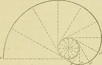 An illustration from Constructive drawing. A text-book for home instruction, high schools, manual training schools, technical schools and universities (1904)