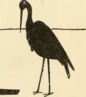 An illustration from Constructive work; (1905)