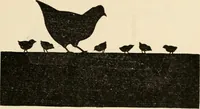 An illustration from Constructive work; (1905)