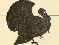 An illustration from Constructive work; (1905)