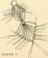 An illustration from Constructive work; (1905)