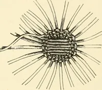 An illustration from Constructive work; (1905)