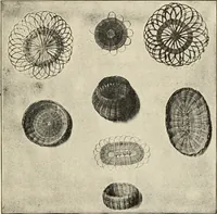 An illustration from Constructive work; (1905)