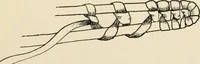 An illustration from Constructive work; (1905)
