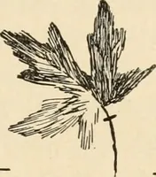An illustration from Constructive work; (1905)