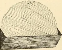 An illustration from Constructive work; (1905)