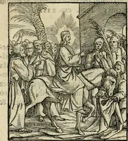 Picture 22 of 48 from Contemplatio totivs vitae et passionis Domini Nostri Iesv Christi (1557), leaf 45