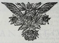 An illustration from Contes et nouvelles en vers (1685)