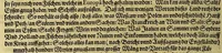 Picture 9 of 23 from Continuatio Americae, das ist: Forsetzung der Historien von der Newen Welt, oder Nidergängischen Indien, waran es auff diese Zeit noch anhero ermangelt. : Darinnen erstlich ein sattsame vnd gründtliche Beschreibung dess Newen Engellandts, welches die Englische das new erfundene Landt nennen, so bisscher noch nicht an Tag kommen. Zum andern, ein aussführlichere Erzehlung von Beschaffenheit der Landtschafften Virginia, Brasilia, Guiana, vnd Insul Bermuda, deren man bisshero schlechte vnd vnvollkommene Wissenschafft gehabt. Drittens, gantz newer aber doch warhafftiger Bericht, von dem bissher noch vnerkanten grossen Theil dess Erdekreises, Terra Australis oder Incognita, daruon noch in keiner Reise Schiffarth meldung beschehen. Sampt allem dem jenigen, was in einer vnd andern beschriebenen Landtschafft, nichts auss gescheiden, denckwürdigs zu sehen, vnd mit Luft vnd Verwunderung anzuhören. Am Ende ist vmb Gleichheit der Materien willen, hierbey gefügt ein weitläufftiger Discurs, wie die Statt S. Saluator vnnd Baia in gewunnen worden. Alles mit beygefügten Kupfferstücken vnd zu gehörigen gantz newen luftigen Landtschafften, erläutert vnd geziert, auch biss auff das 1627. Jahr continuirt (1627), leaf 40
