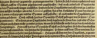 Picture 11 of 23 from Continuatio Americae, das ist: Forsetzung der Historien von der Newen Welt, oder Nidergängischen Indien, waran es auff diese Zeit noch anhero ermangelt. : Darinnen erstlich ein sattsame vnd gründtliche Beschreibung dess Newen Engellandts, welches die Englische das new erfundene Landt nennen, so bisscher noch nicht an Tag kommen. Zum andern, ein aussführlichere Erzehlung von Beschaffenheit der Landtschafften Virginia, Brasilia, Guiana, vnd Insul Bermuda, deren man bisshero schlechte vnd vnvollkommene Wissenschafft gehabt. Drittens, gantz newer aber doch warhafftiger Bericht, von dem bissher noch vnerkanten grossen Theil dess Erdekreises, Terra Australis oder Incognita, daruon noch in keiner Reise Schiffarth meldung beschehen. Sampt allem dem jenigen, was in einer vnd andern beschriebenen Landtschafft, nichts auss gescheiden, denckwürdigs zu sehen, vnd mit Luft vnd Verwunderung anzuhören. Am Ende ist vmb Gleichheit der Materien willen, hierbey gefügt ein weitläufftiger Discurs, wie die Statt S. Saluator vnnd Baia in gewunnen worden. Alles mit beygefügten Kupfferstücken vnd zu gehörigen gantz newen luftigen Landtschafften, erläutert vnd geziert, auch biss auff das 1627. Jahr continuirt (1627), leaf 55