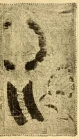 Picture 8 of 17 from Contributi allo studio dell'arte tessile (1920), leaf 85