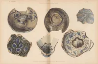 Picture 4 of 7 from Contribution a l'étude de la céramique orientale (1900), leaf 203
