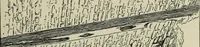 An illustration from Contributions to the history of the south-western portion of the United States (1890)