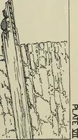 An illustration from Contributions to the history of the south-western portion of the United States (1890)