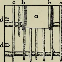 An illustration from Contributions to the history of the south-western portion of the United States (1890)