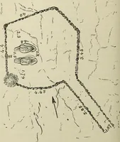 Picture 10 of 25 from Contributions to the history of the south-western portion of the United States (1890), leaf 176