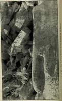 An illustration from Contributions to the history of the south-western portion of the United States (1890)