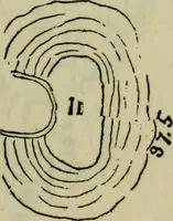 An illustration from Contributions to the history of the south-western portion of the United States (1890)