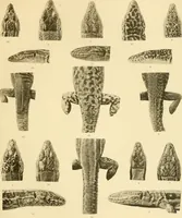 An illustration from A contribution to our knowledge of the varieties of the wall-lizard (Lacerta muralis) in Western Europe and North Africa (1905)
