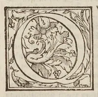 An illustration from Controversiae de cometarvm quiete, loco boreali sine occasu, parallaxi Aristotelea, sede caelesti, & exacta theoria peripatetica : in quibus prima nemesis meas ad Aristotelem interpretationes ab appositionibus cuiusdam mathematici liberat, alienasque ab eodem intrusas radicitus euellit : ex rei natvra, ex Aristotelis doctrina, & ex astronomiae fundamentis omnia demonstrans. (1625)