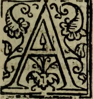 An illustration from Conuersam, e lagrimas da gloriosa Sancta Maria Magdalena, & outras obras espirituaes (1615)