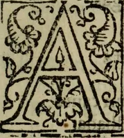 An illustration from Conuersam, e lagrimas da gloriosa Sancta Maria Magdalena, & outras obras espirituaes (1615)