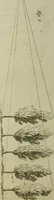 An illustration from Conversations on natural philosophy : (1826)
