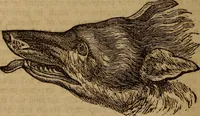 An illustration from Coombs' popular phrenology: (1865)