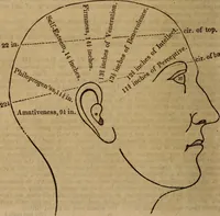 An illustration from Coombs' popular phrenology: (1865)