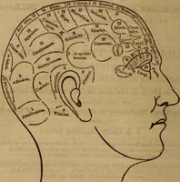 An illustration from Coombs' popular phrenology: (1865)