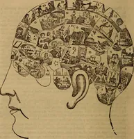 An illustration from Coombs' popular phrenology: (1865)