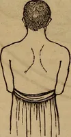 An illustration from Coombs' popular phrenology: (1865)