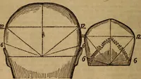 An illustration from Coombs' popular phrenology: (1865)