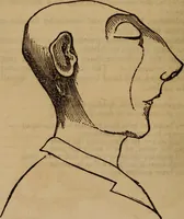 An illustration from Coombs' popular phrenology: (1865)