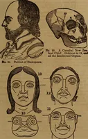 Picture 31 of 58 from Coombs' popular phrenology: (1865), leaf 58