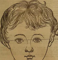 An illustration from Coombs' popular phrenology: (1865)