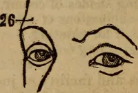 An illustration from Coombs' popular phrenology: (1865)