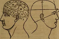 An illustration from Coombs' popular phrenology: (1865)